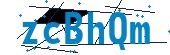 recaptcha