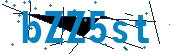 recaptcha