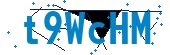 recaptcha
